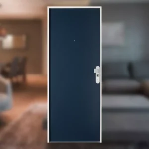 Puerta Acorazada Protecdoor+ Cilindro 787 Fichet